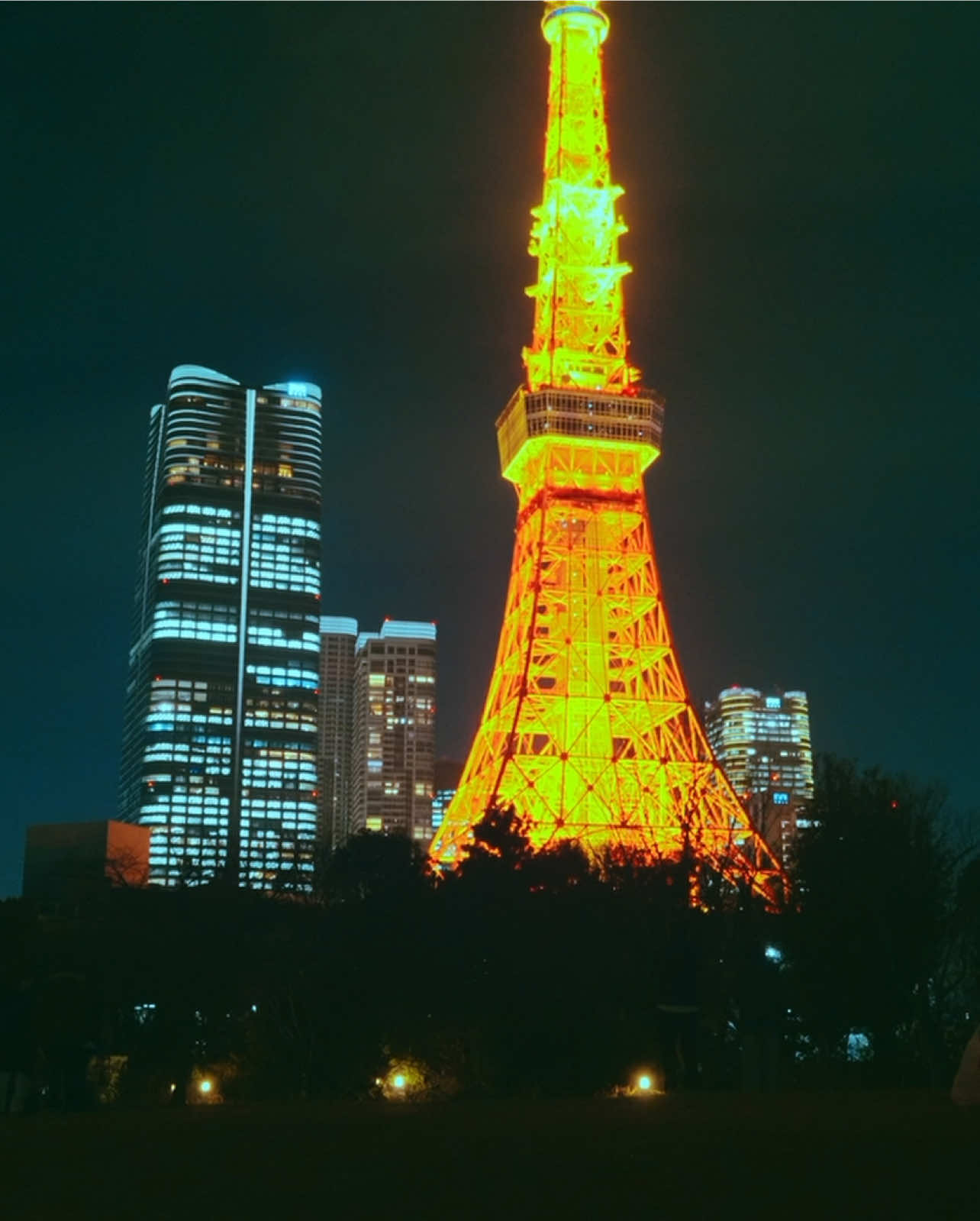 @Harry📹