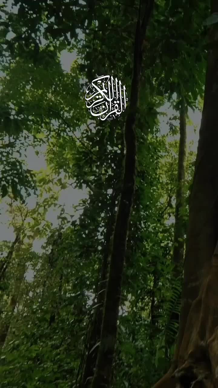 @🦋𝓝ᴏᴏʀᴜʟᴀɪɴ🕊