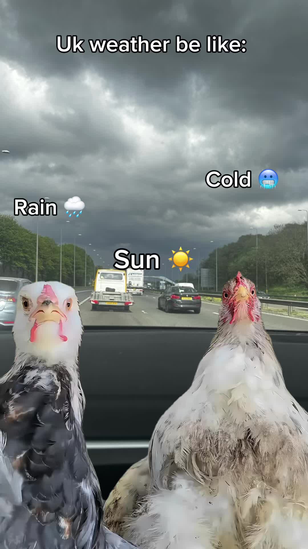 @๐งฟโฉ๐_๐๐ถ๐๐ฝ๐๐๐พ๐๐_๐โฉ๐งฟ