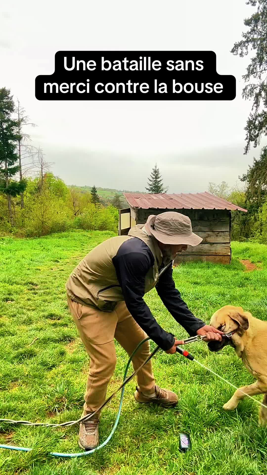 @Purekangal