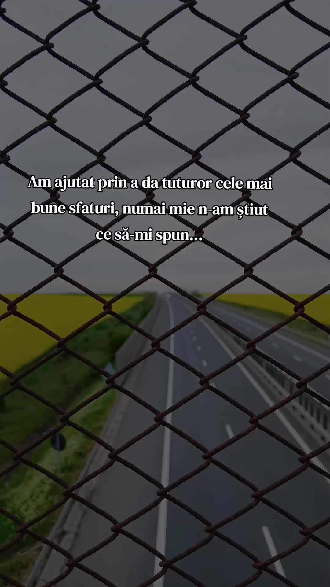 @⚜️Ąĺịɲ⚜️