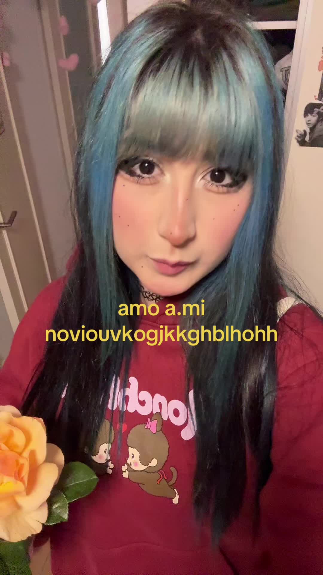 @₍^. .^₎⟆