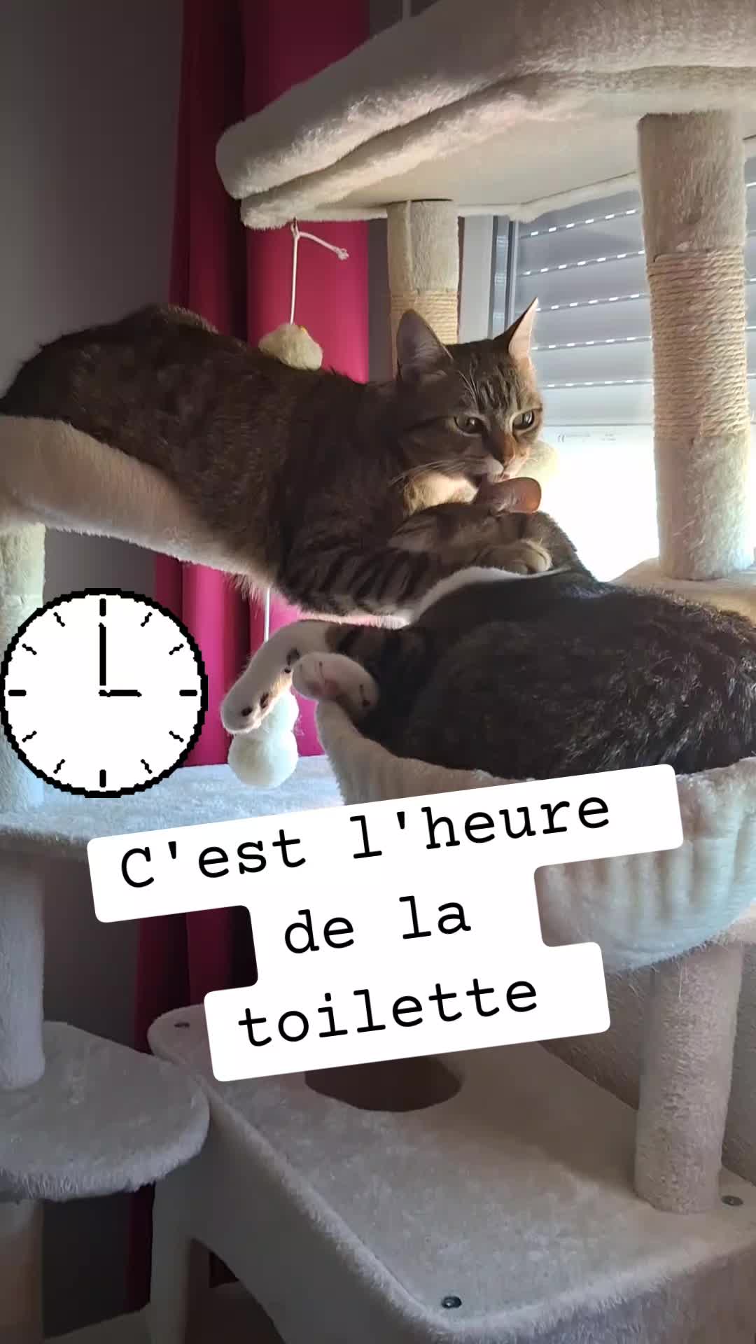 @Kitty et Jul