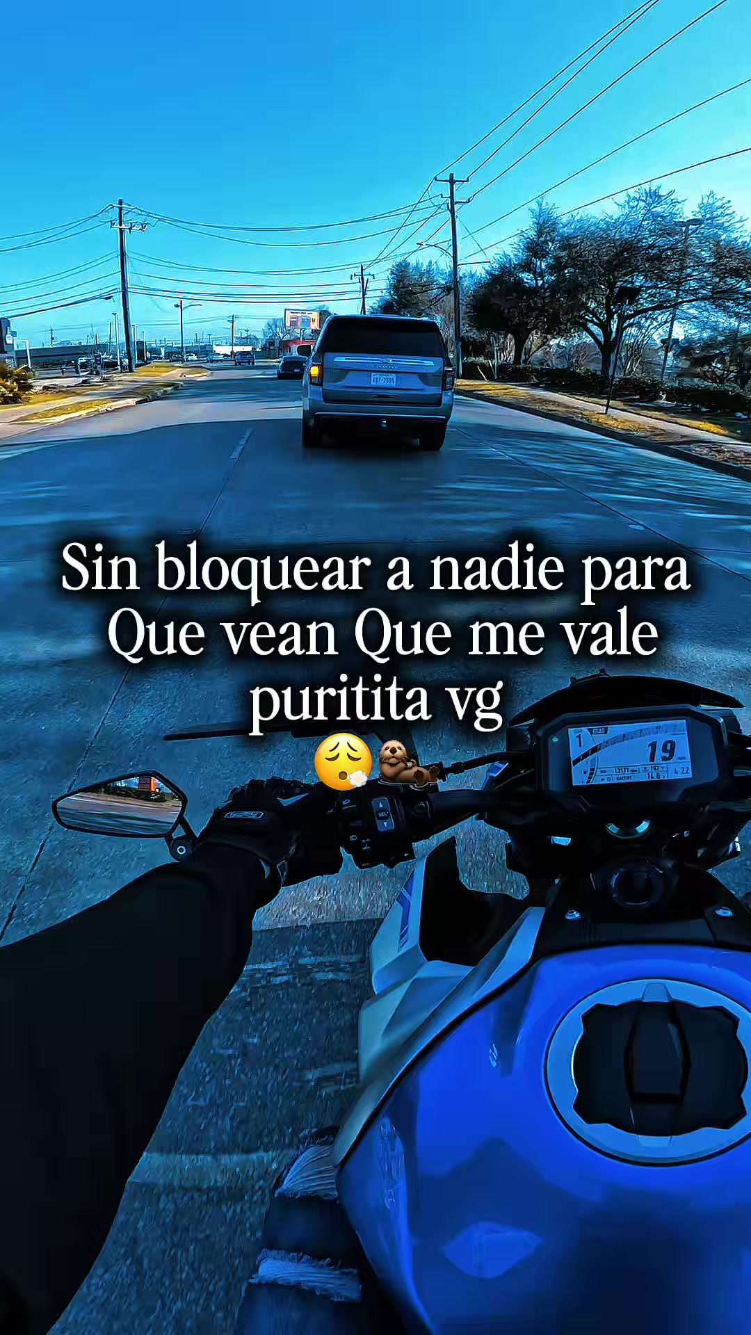 @Modo_montana