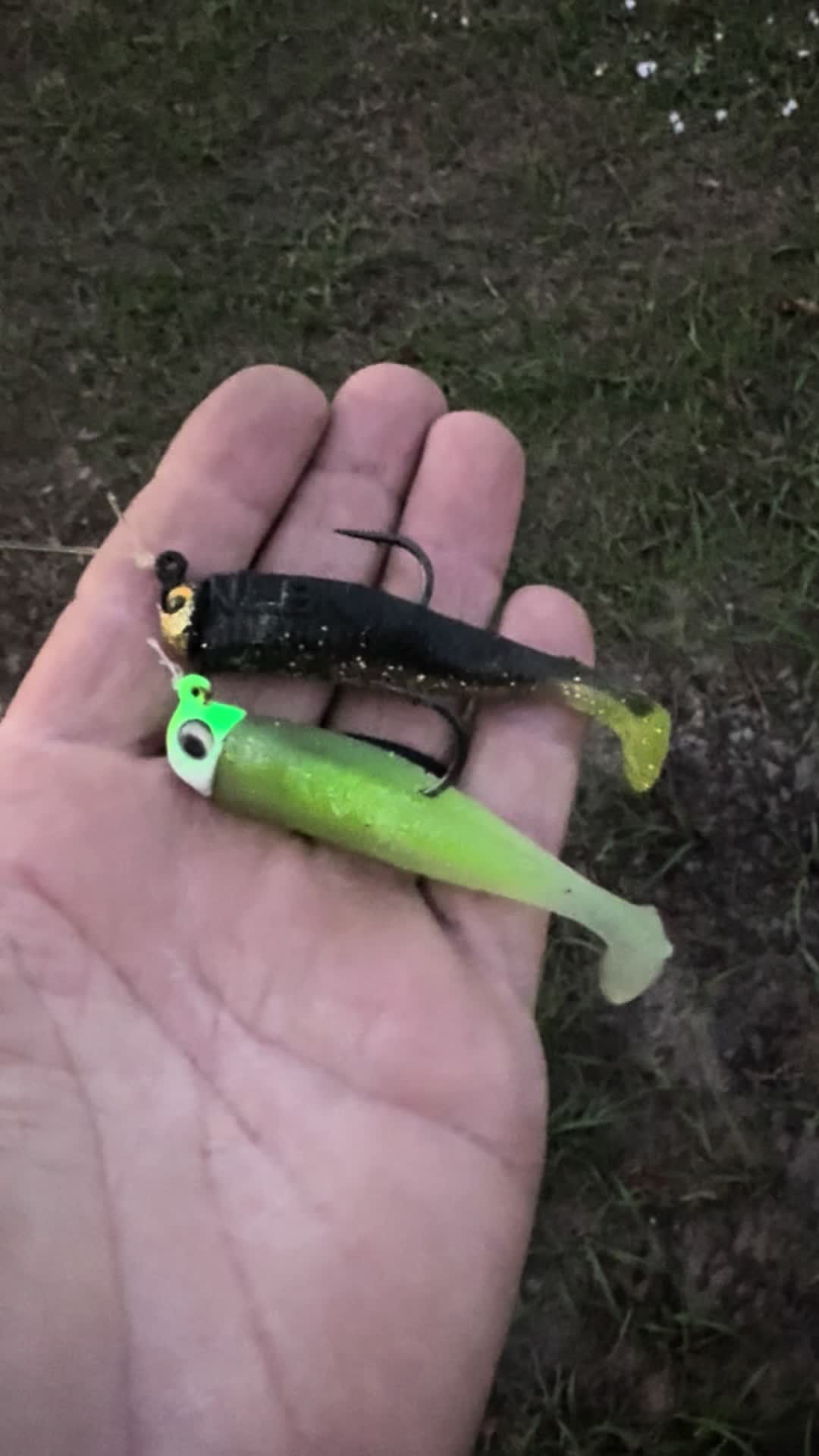 @Chasin Fish