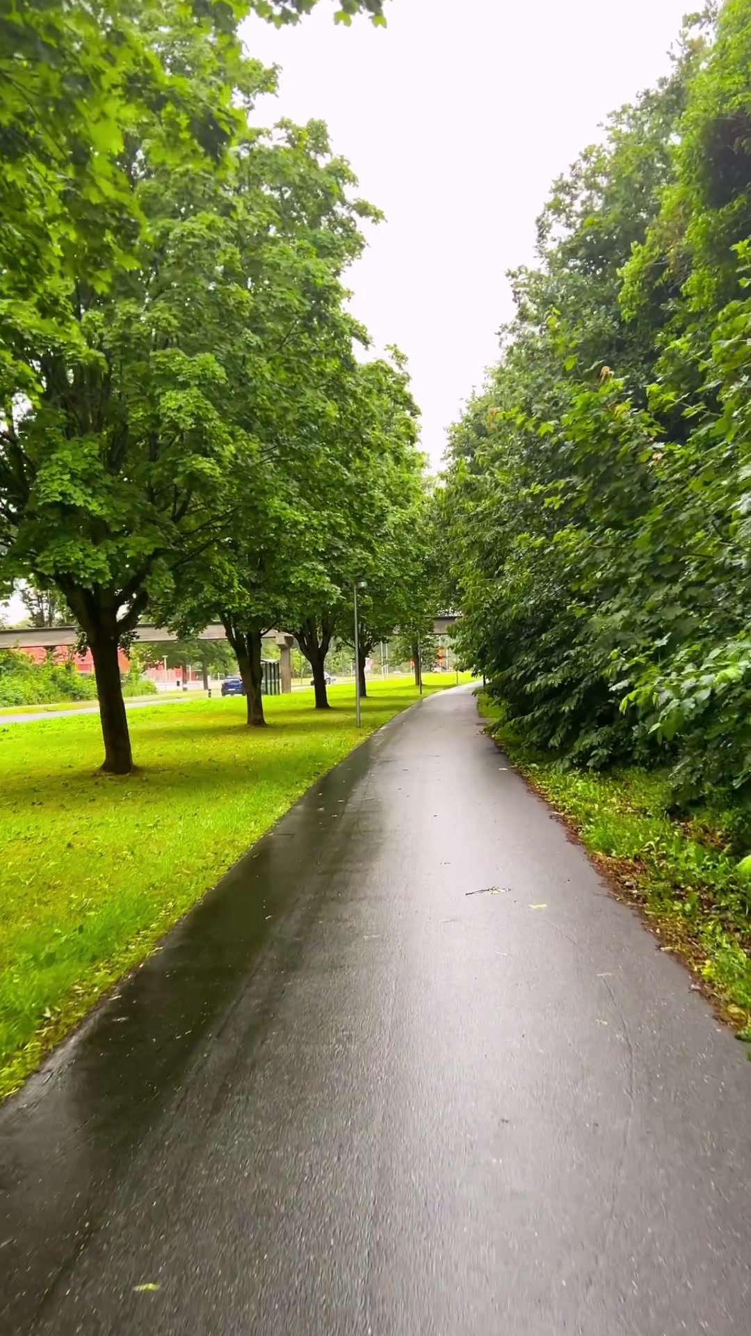 @dk__nature 🇩🇰