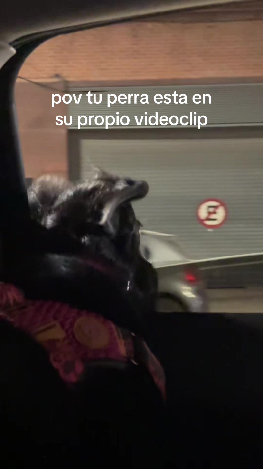 @Mika Ranieri