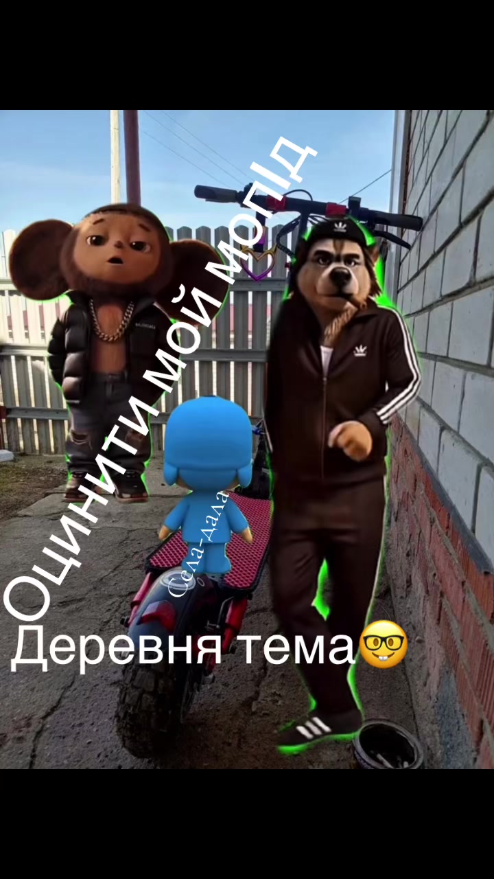 @kamil_kt6