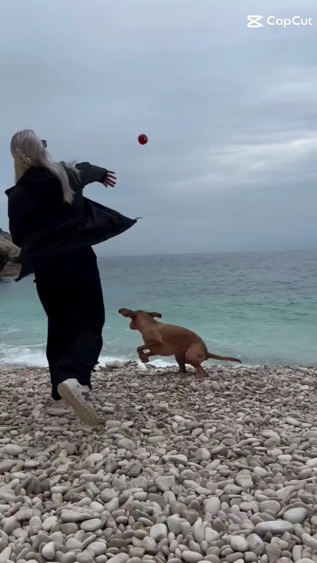 @PeanutundAponi🐶🐾