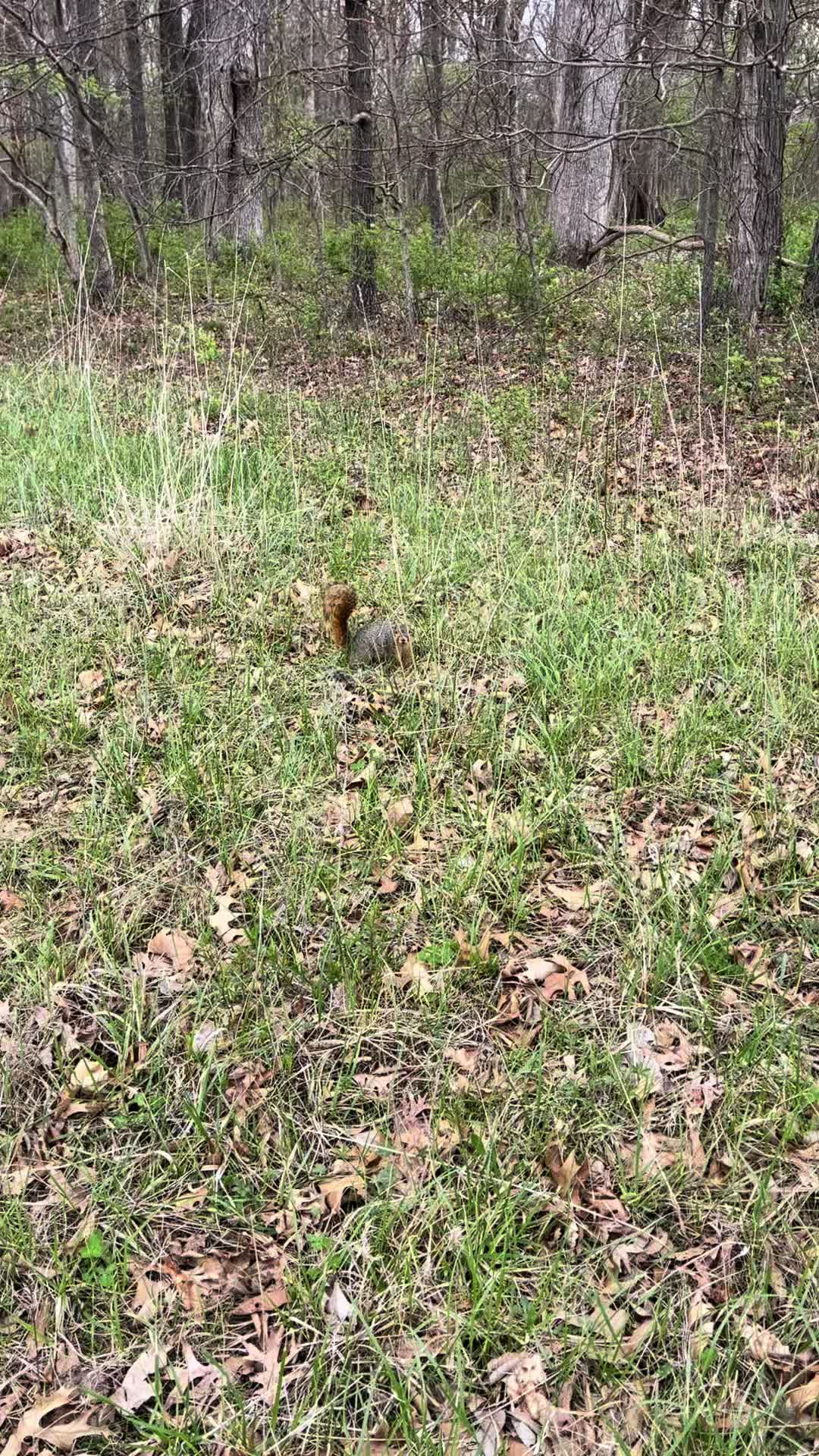 @217bowhunter