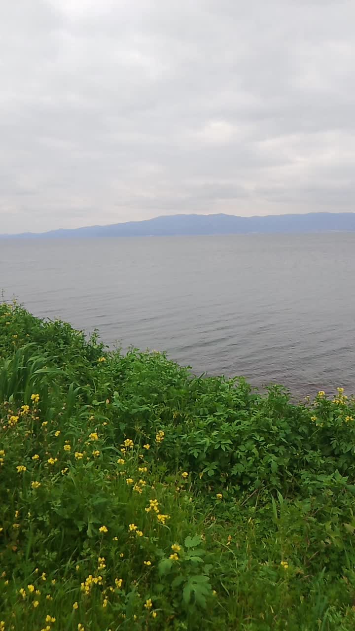 @&Sigma;&tau;&alpha;&mu;ά&tau;&eta;&sigmaf; &Sigma;&iota;&delta;έ&rho;&eta;&sigmaf;