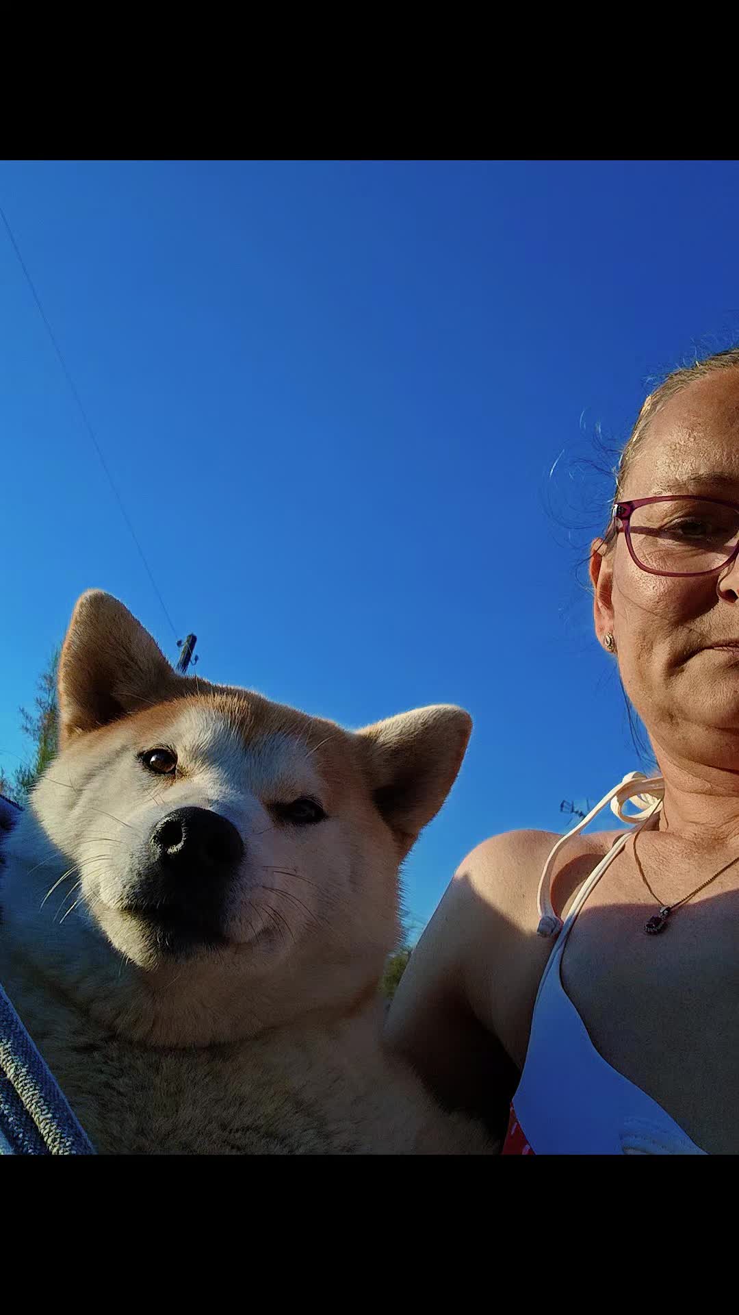 @Spirit of Asia Kennel