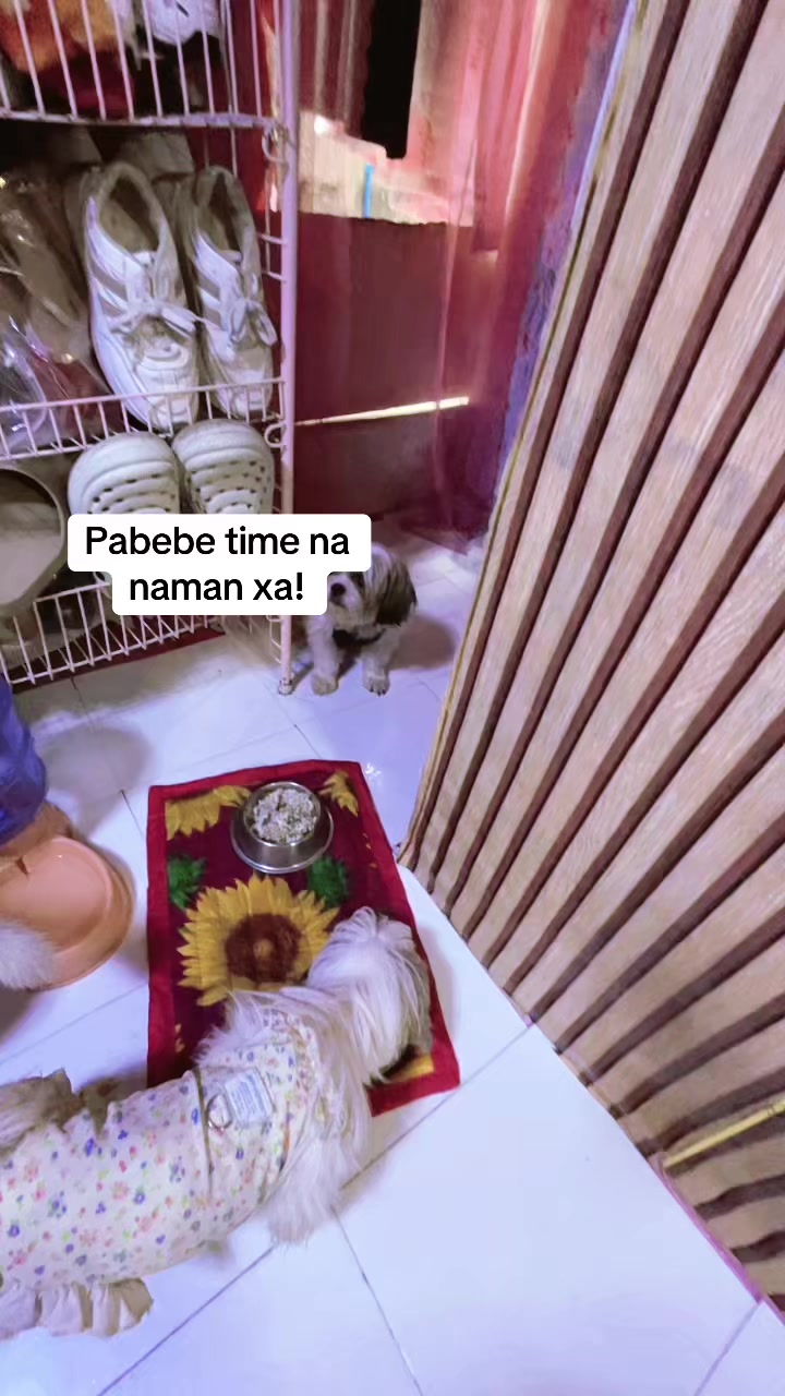 @Maggie Red