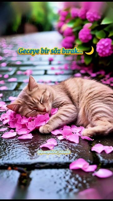 @Aksaray 68