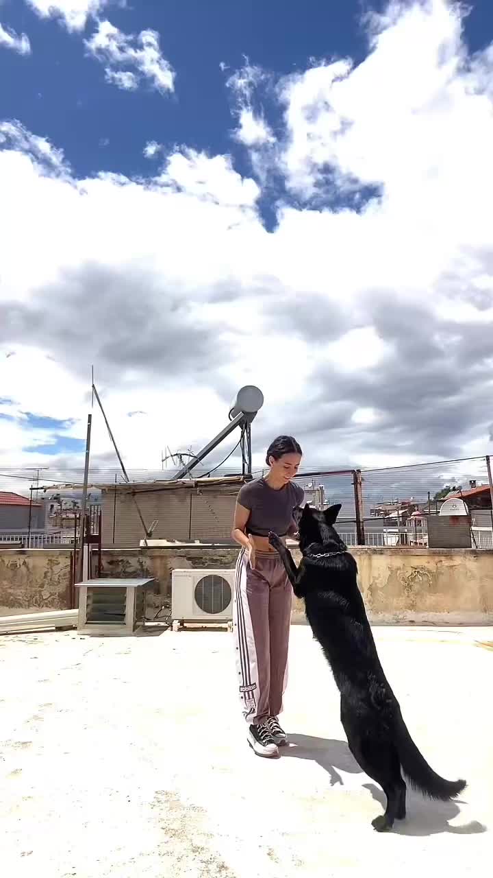 @melinakii.krd