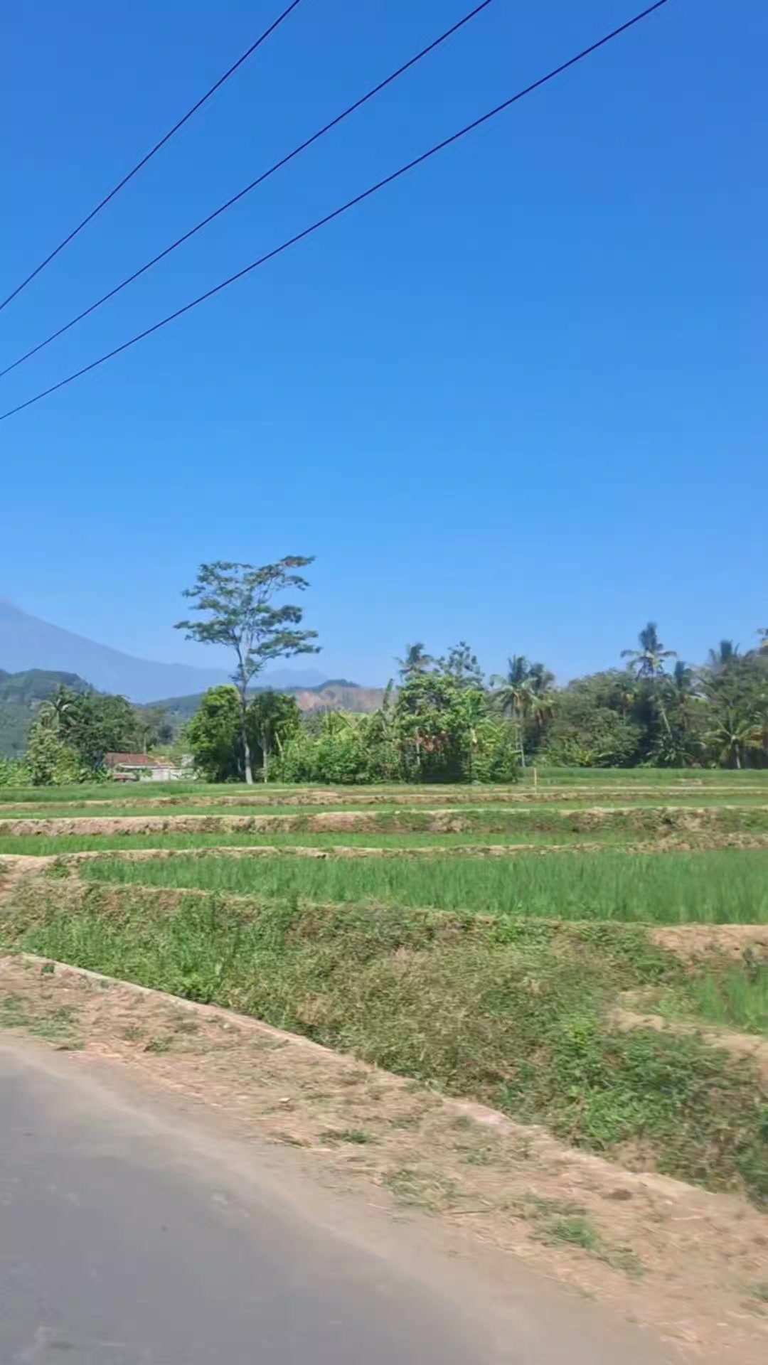 @Alvin Andriansyah