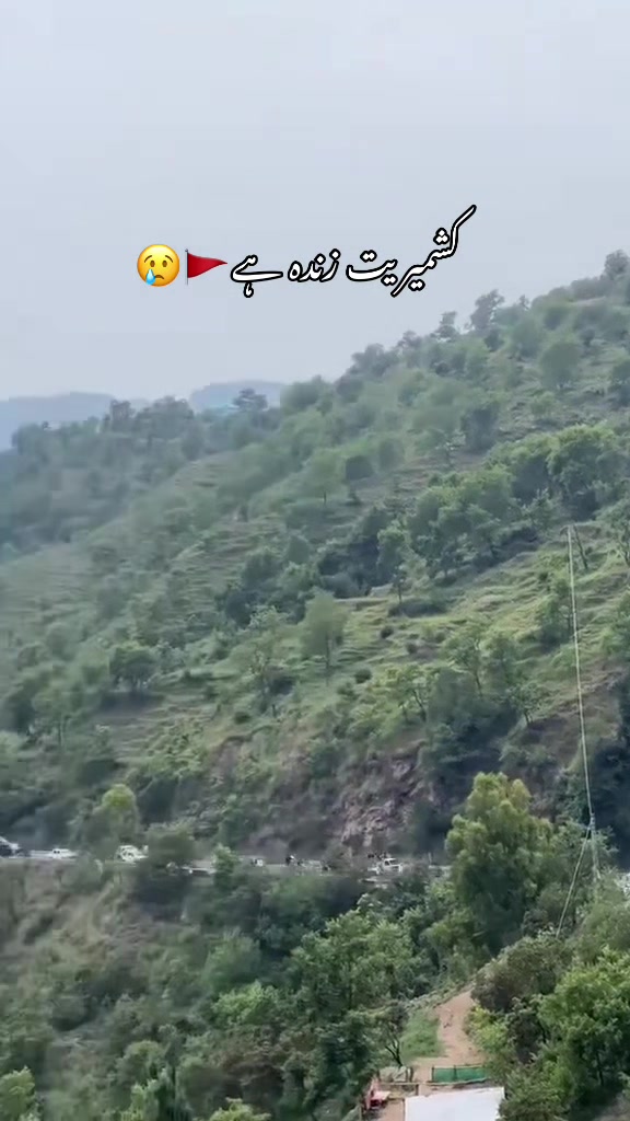 @سلیمان کشمیری🚩