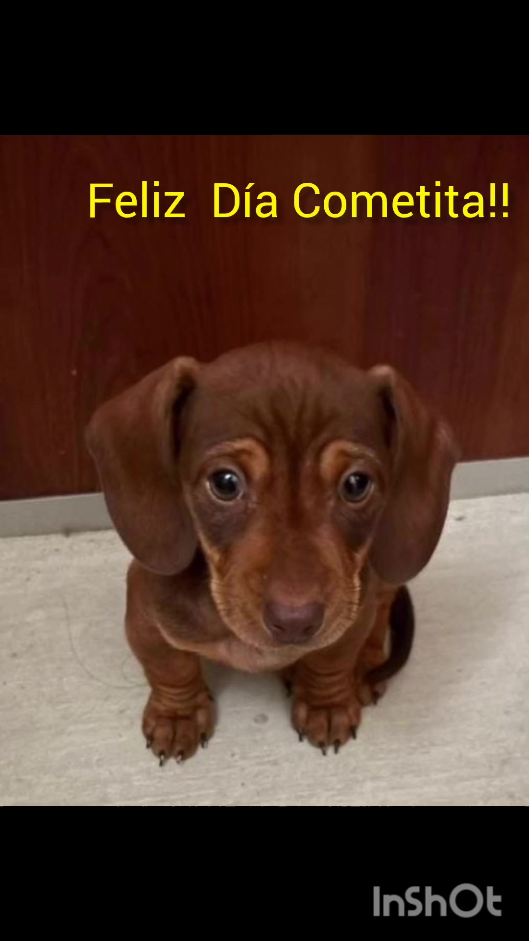 @Libis Rodriguez