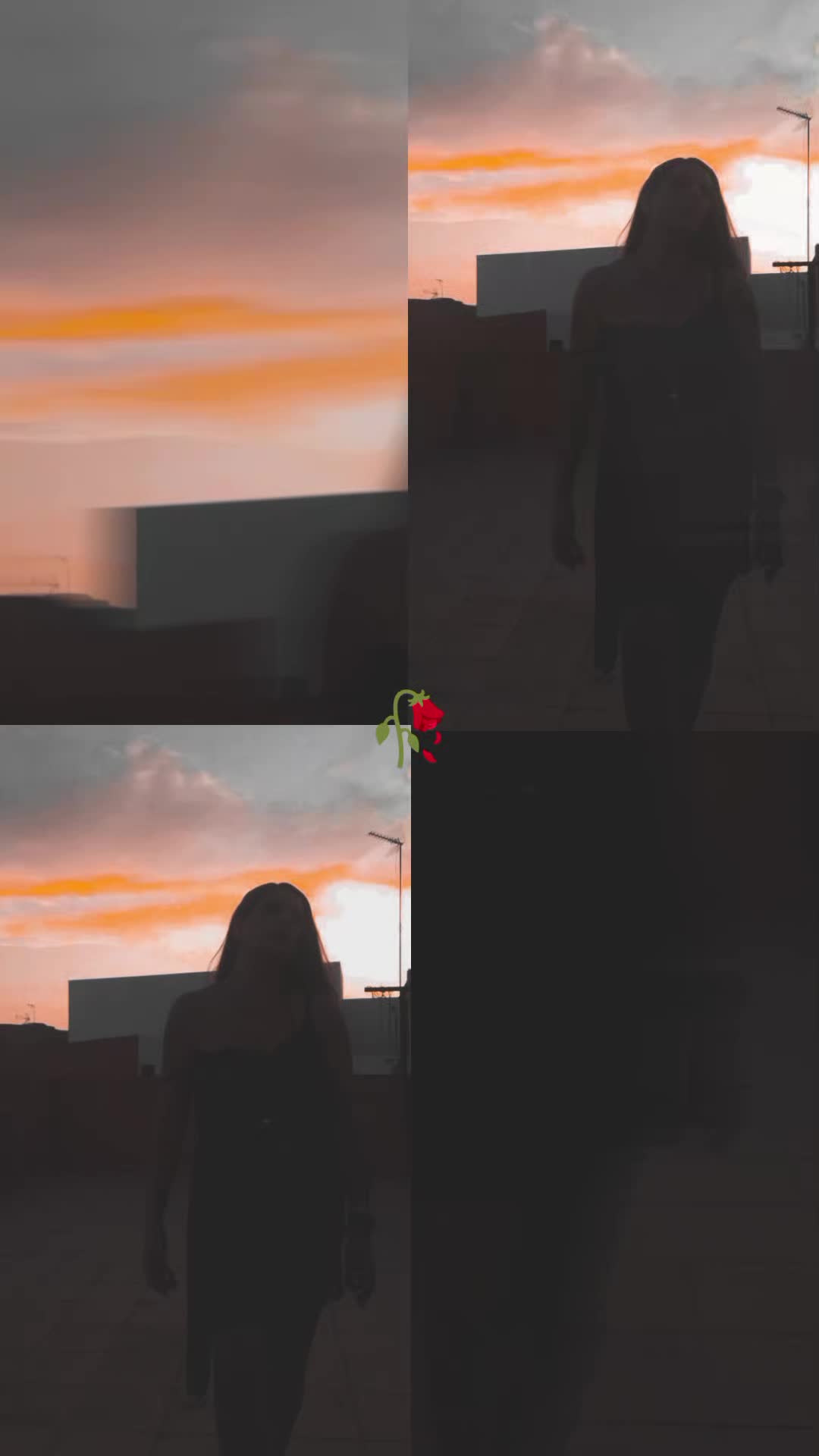 @Sandrita 💐
