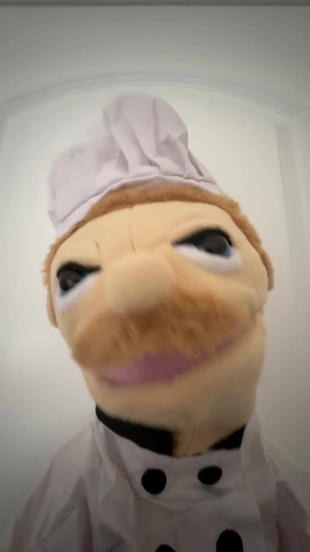 @puppetpictureshow