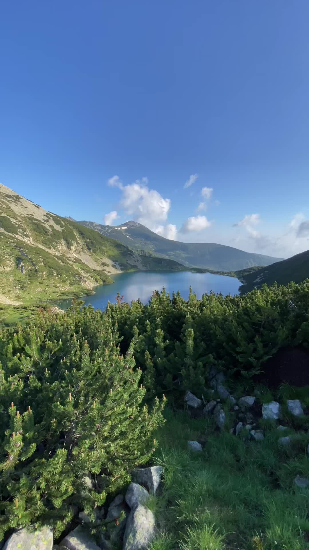 @Pirin