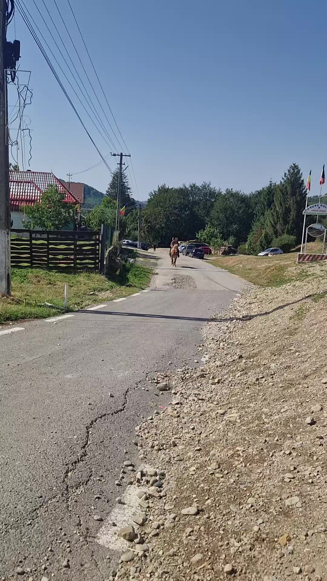 @🤠 Georgiana 🐴