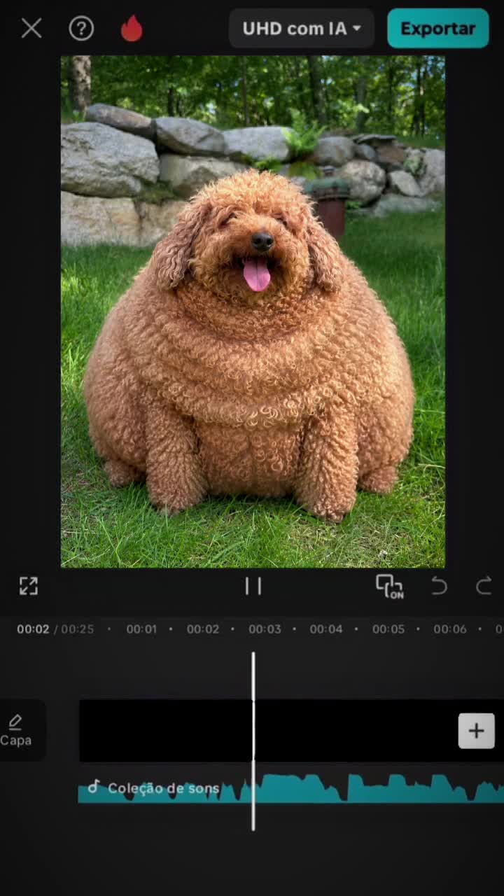 @Dannydawg