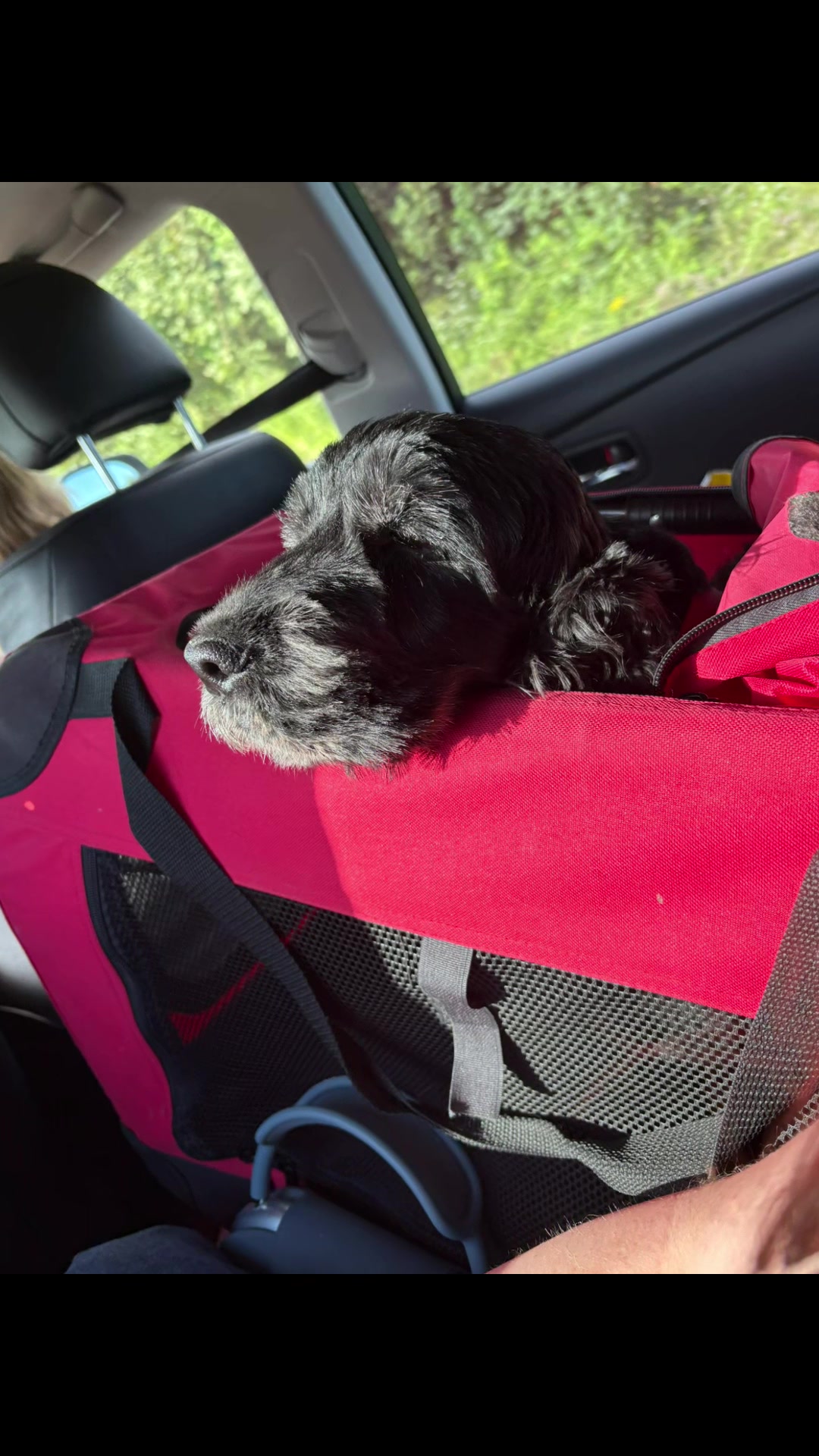 @Niamh S 🏎️