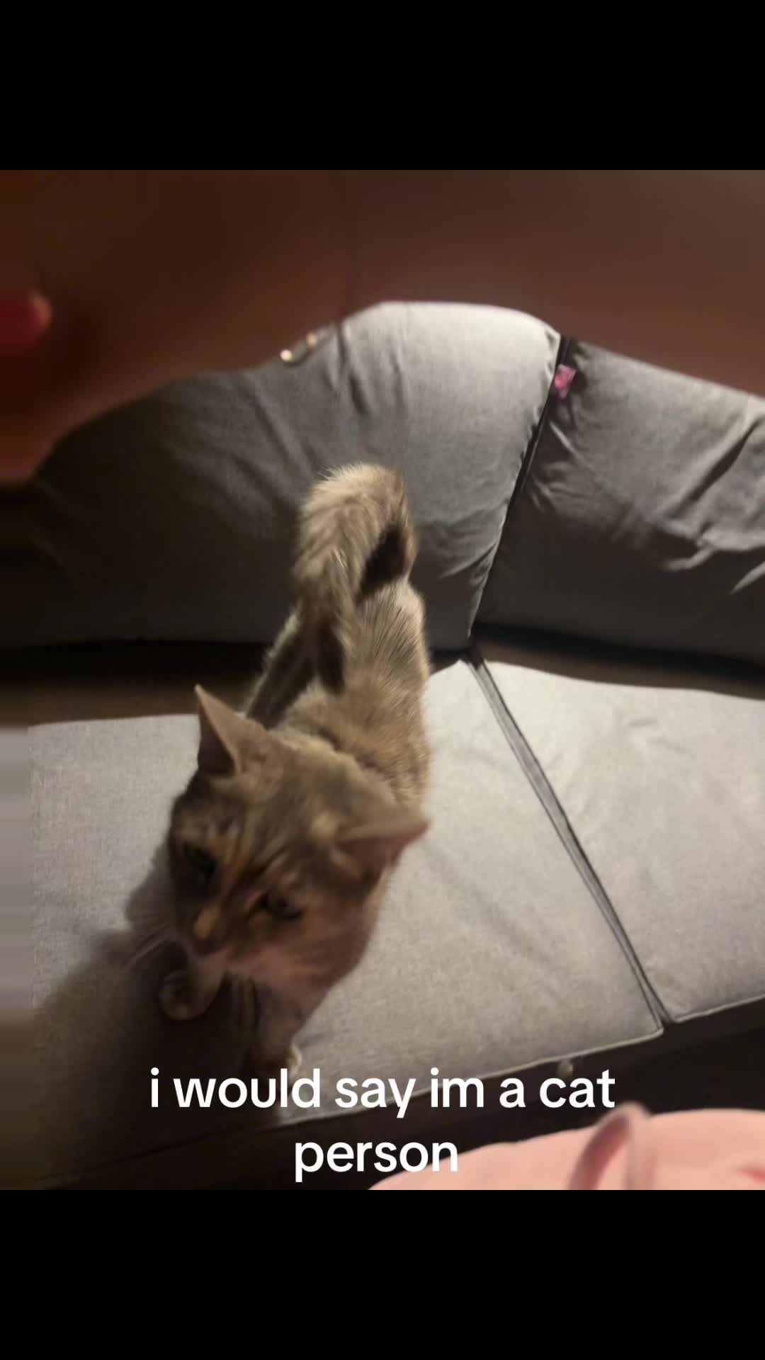 @kiki