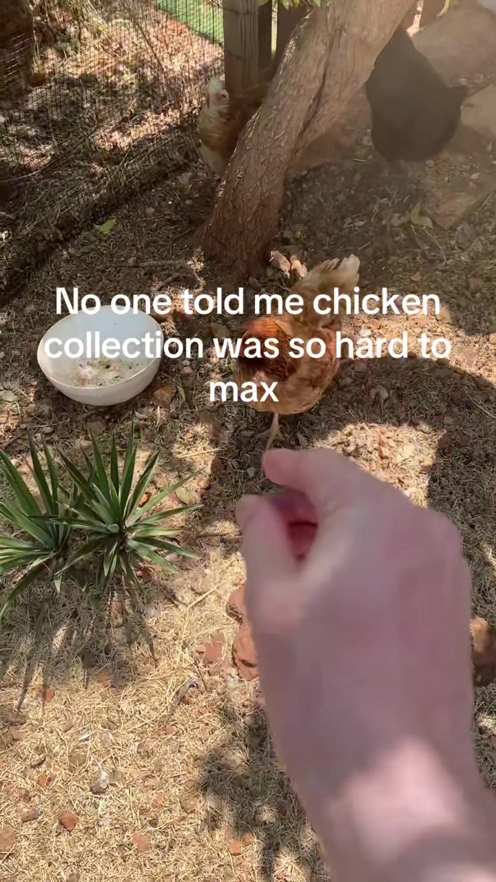 @Fiyrthgu