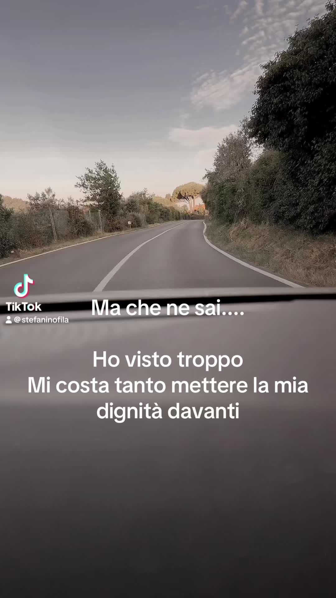 @stefaninofila