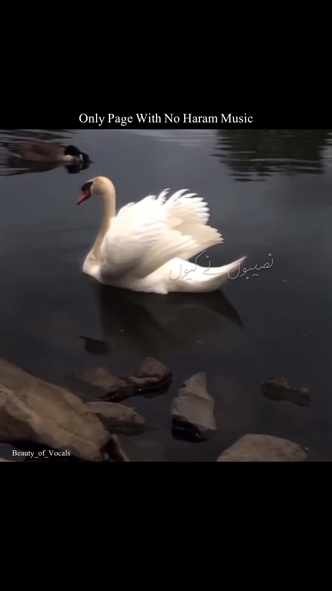 @𝐁𝐞𝐚𝐮𝐭𝐲_𝐨𝐟_𝐕𝐨𝐜𝐚𝐥𝐬