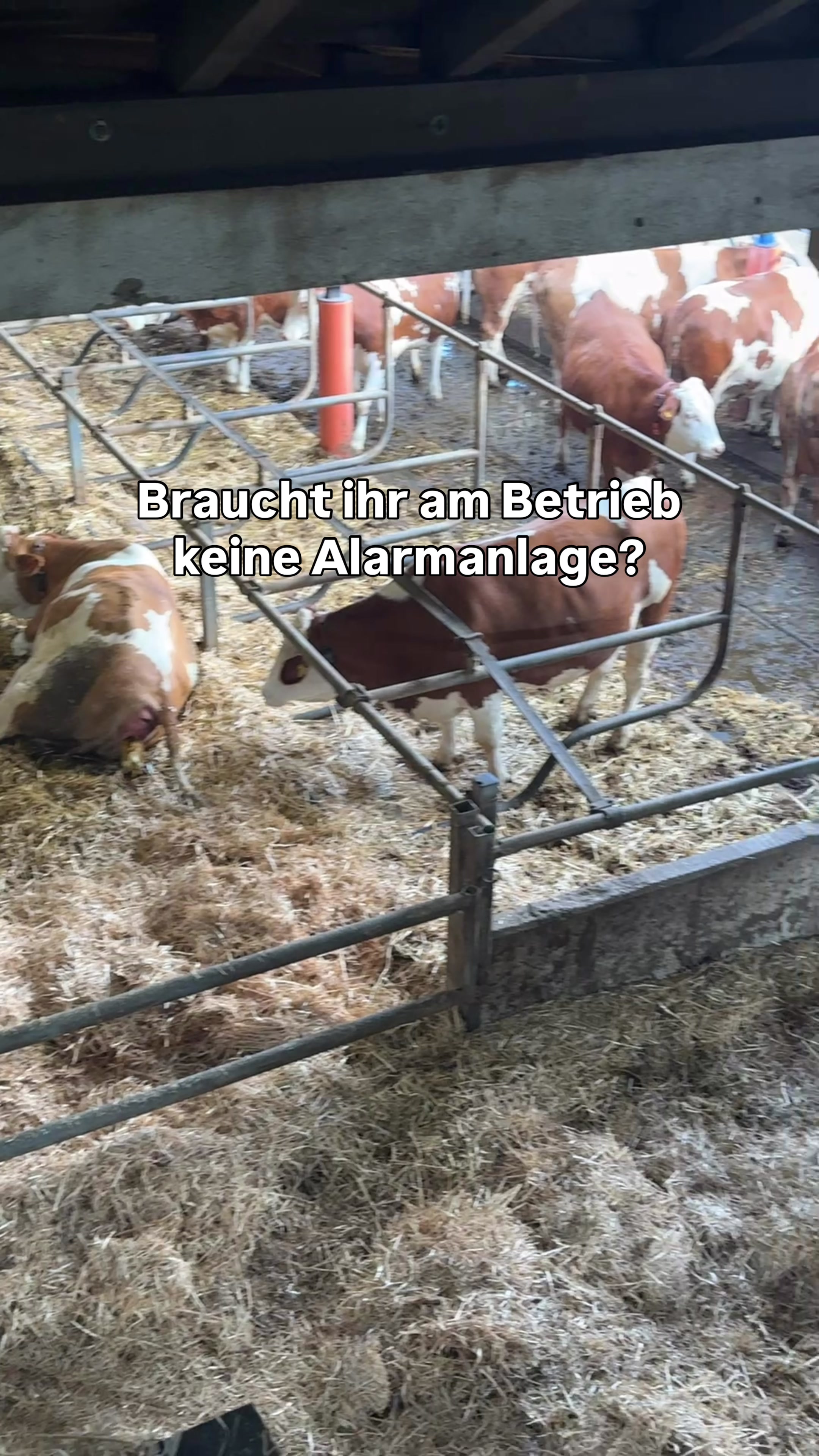 @landwirtschaft.moosbauer