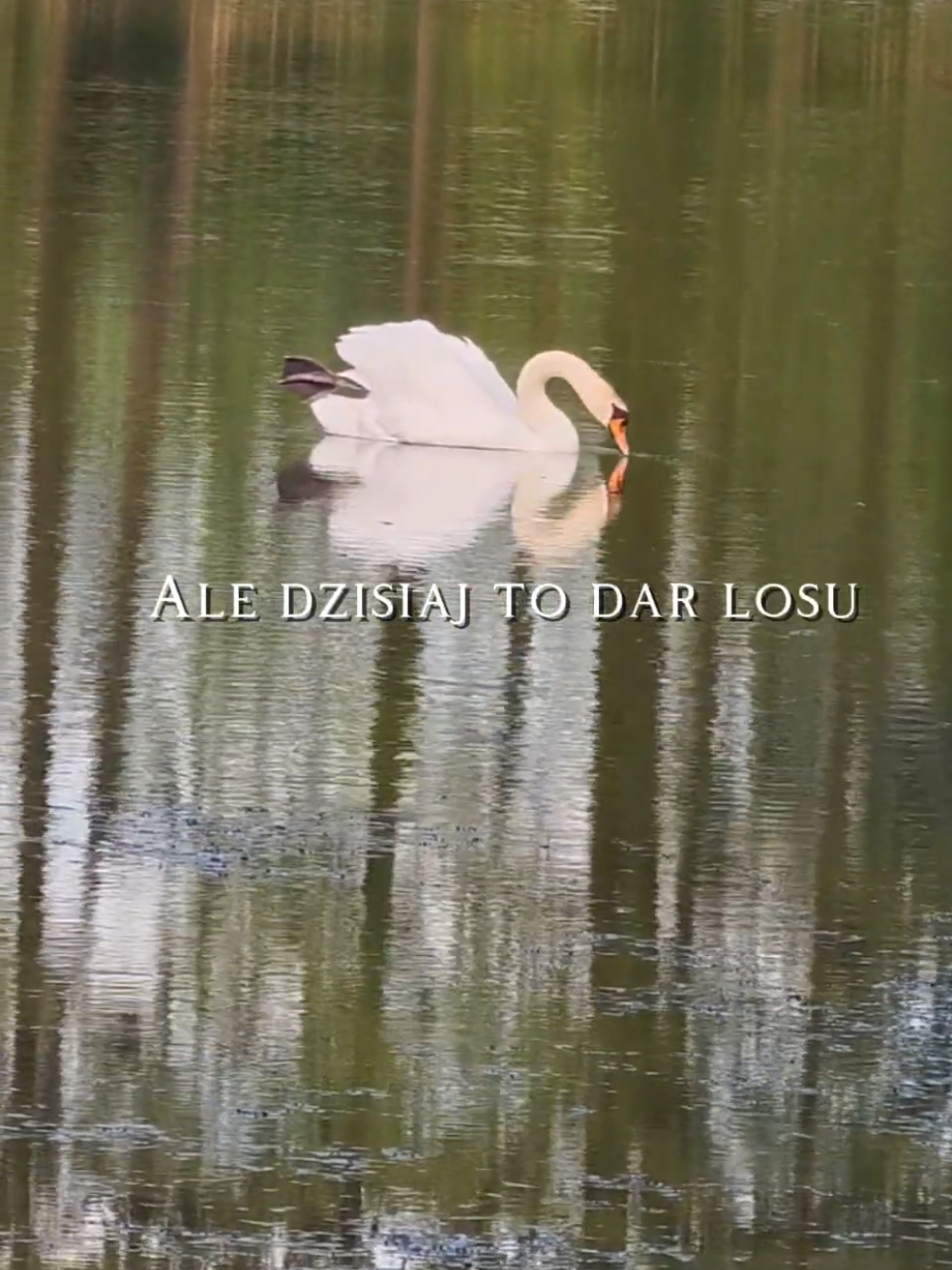@Weronika Ślusarska