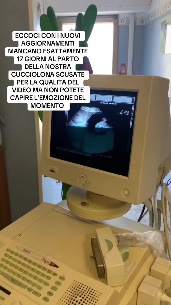 @Ilaria Urbani