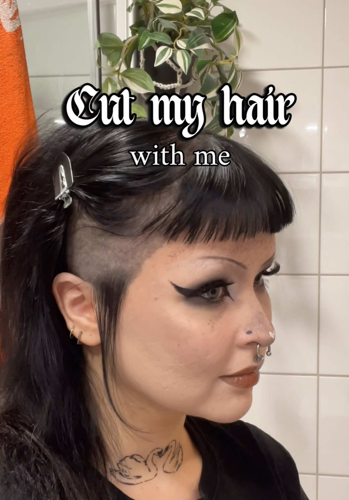 @bambirric