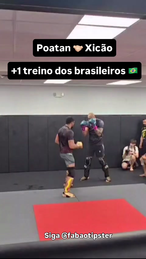 @fabaotipster