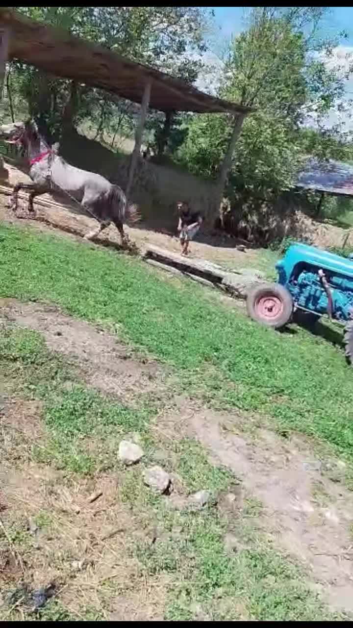 @Sebi Lazăr