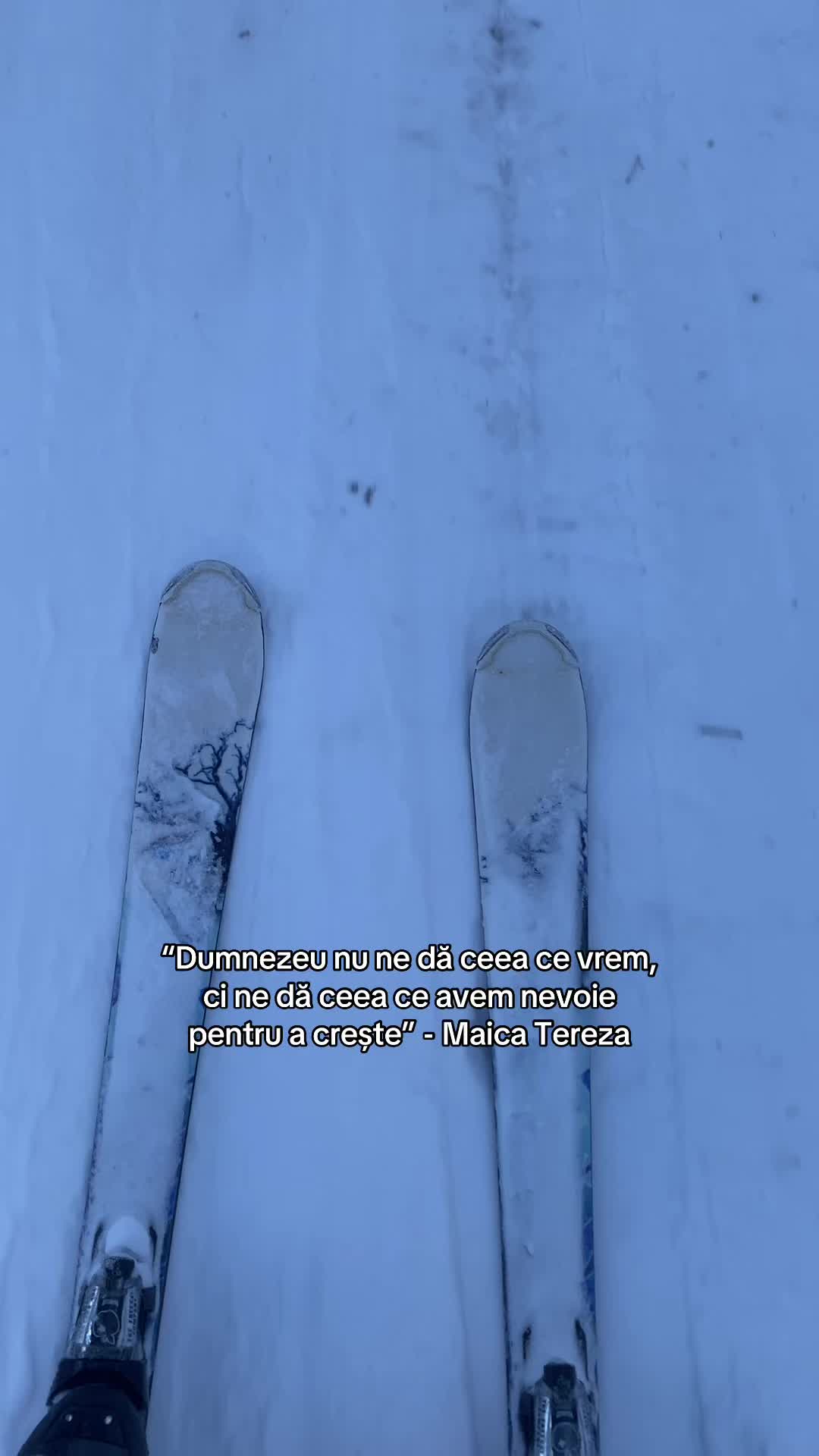 @Lumea Artiștilor