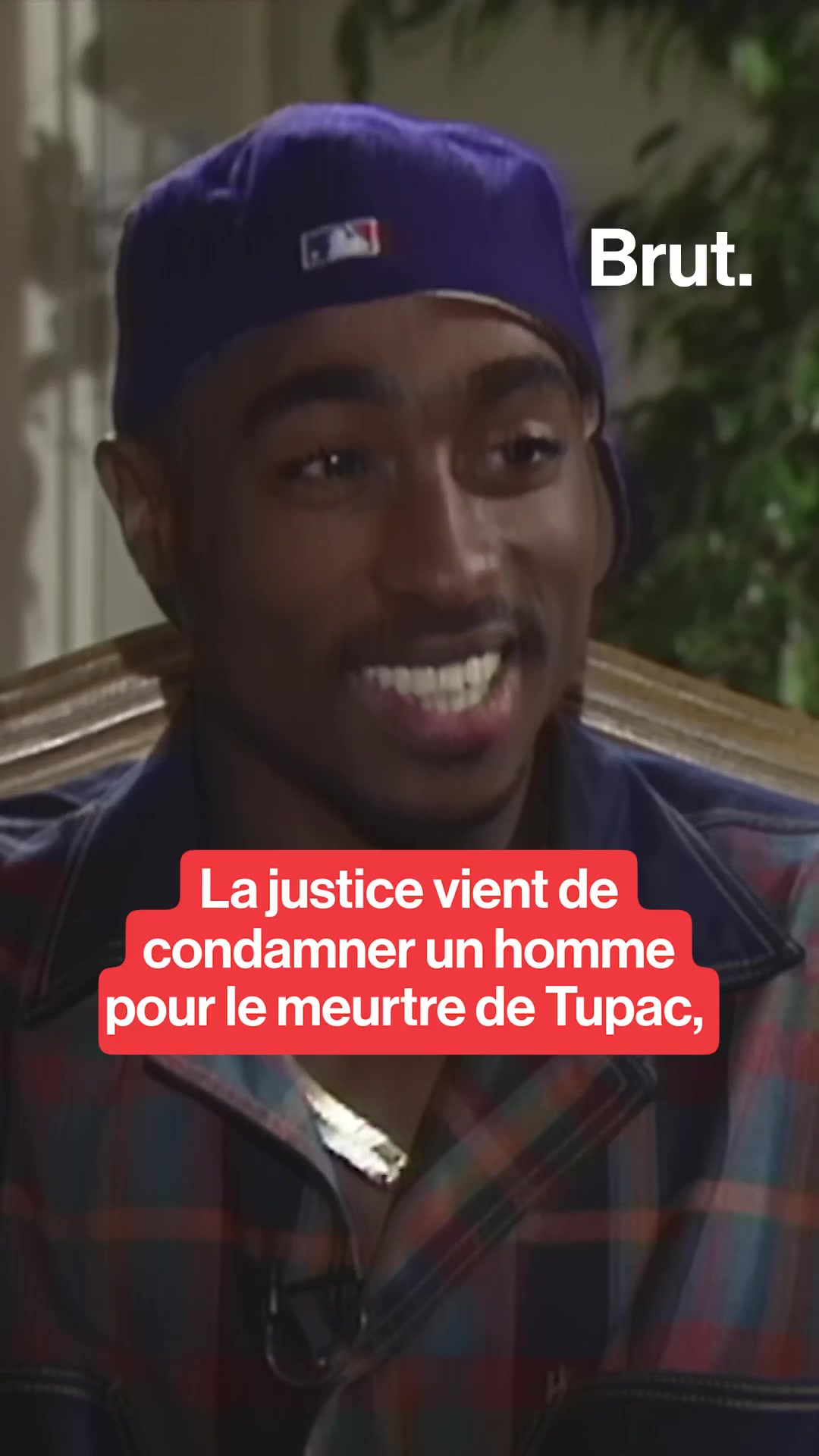 @Brut. Afrique