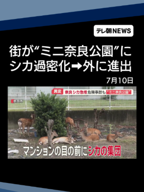 @テレ朝NEWS【公式】