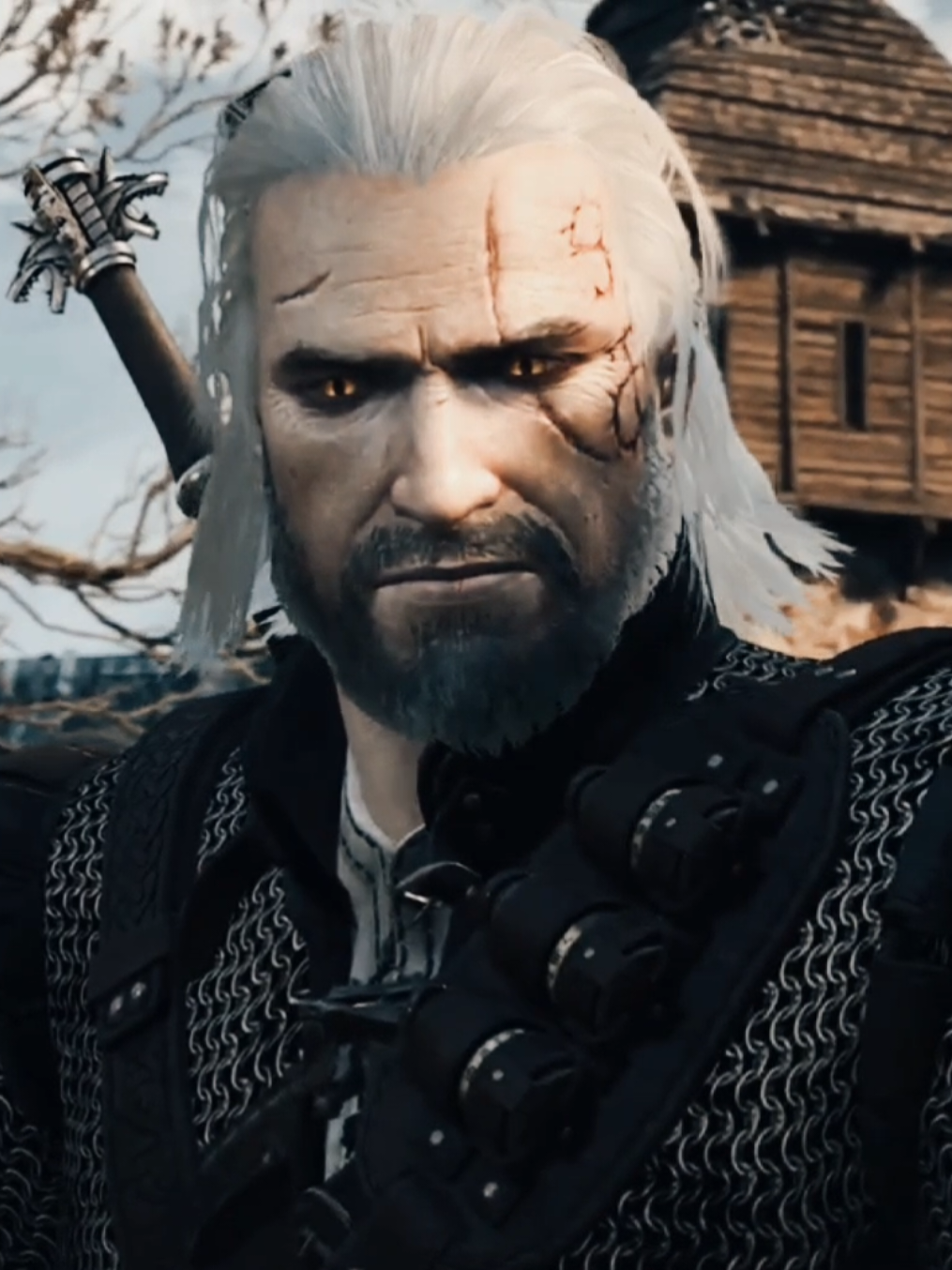 @The Witcher