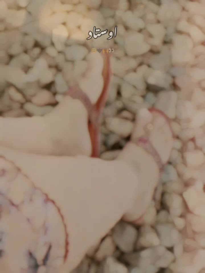@🐣⃝🦋 𝘽𝙪𝙣𝙣𝙮_𝙈𝙖𝙣𝙤💜