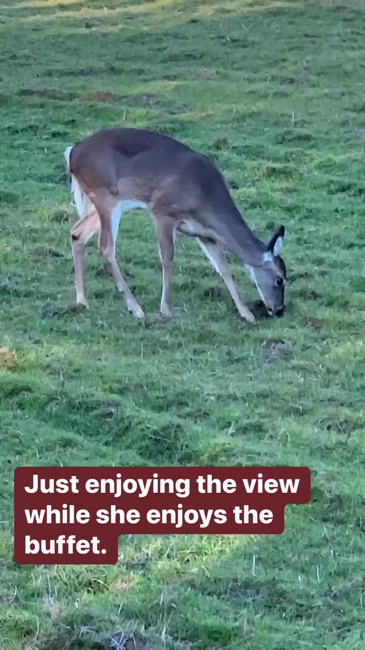 @tobias_ulrich