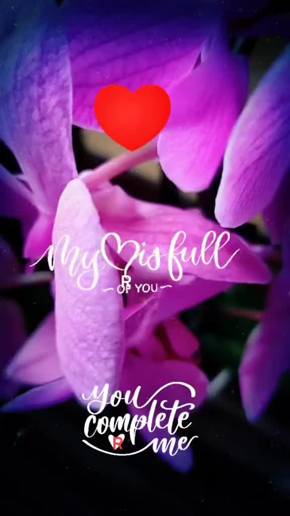 @🌹shapla🌹