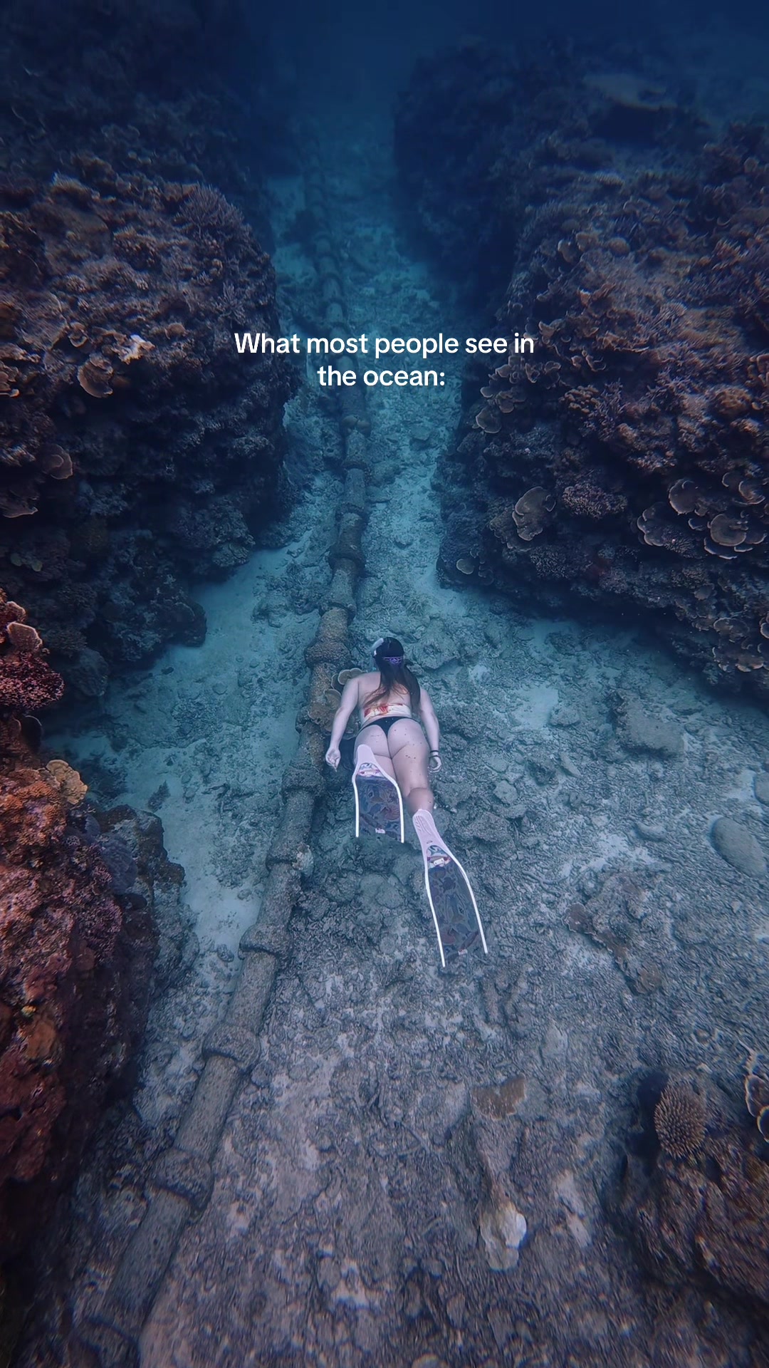 @Polly Frier | Content Creator