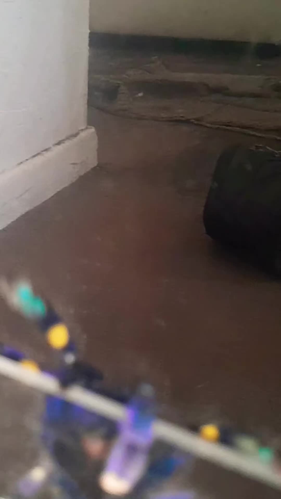 @craigscritterworld1