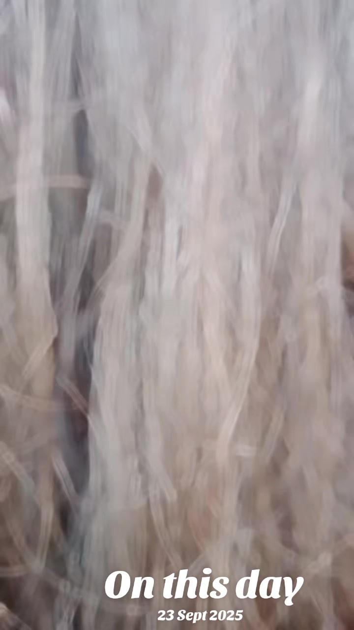 @🇩 🇮 🇸 🇭 🇦
