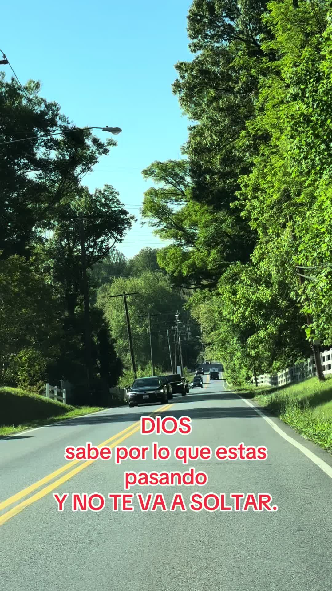 @Yany Mendez