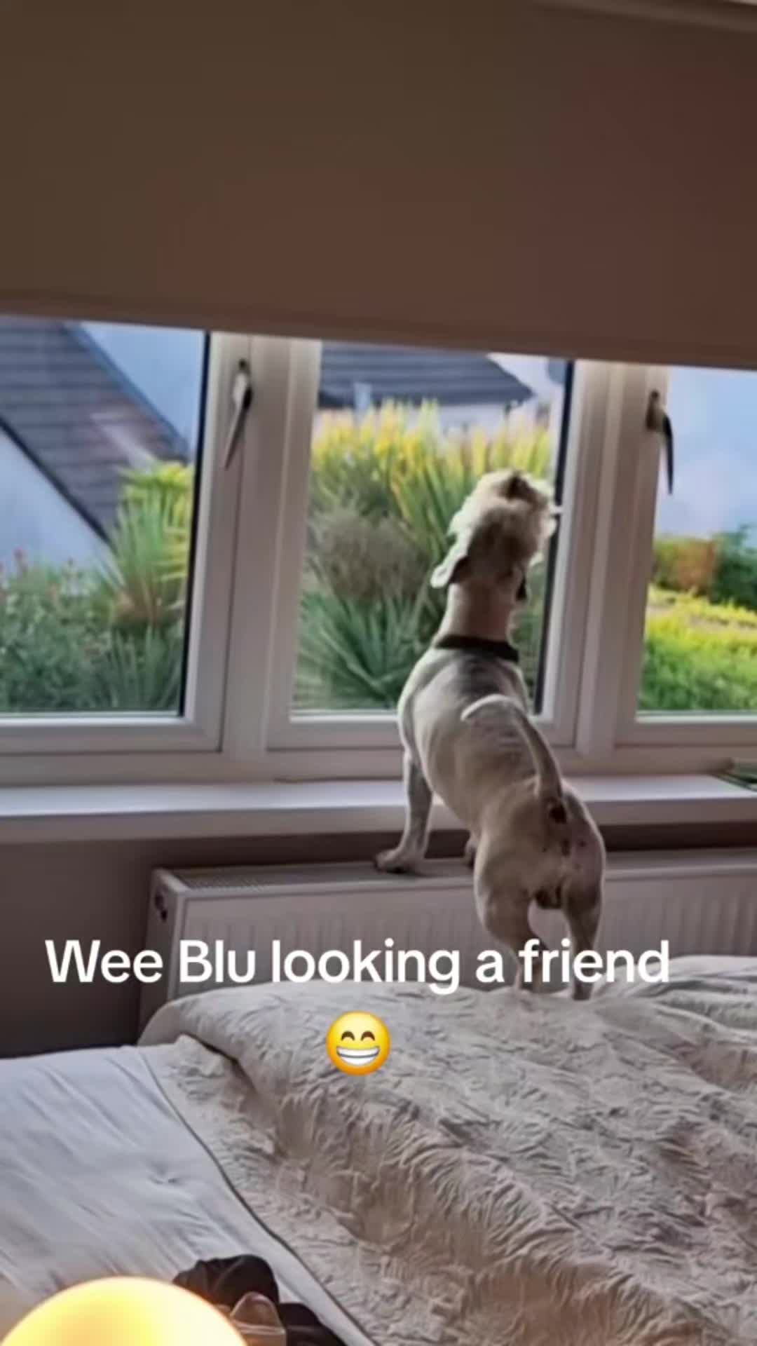 @Seamie 11 11